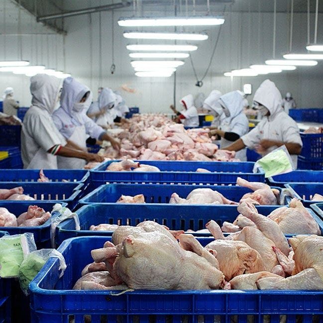 0_XiDZ23DRwKiQH-uf 0_XiDZ23DRwKiQH-uf