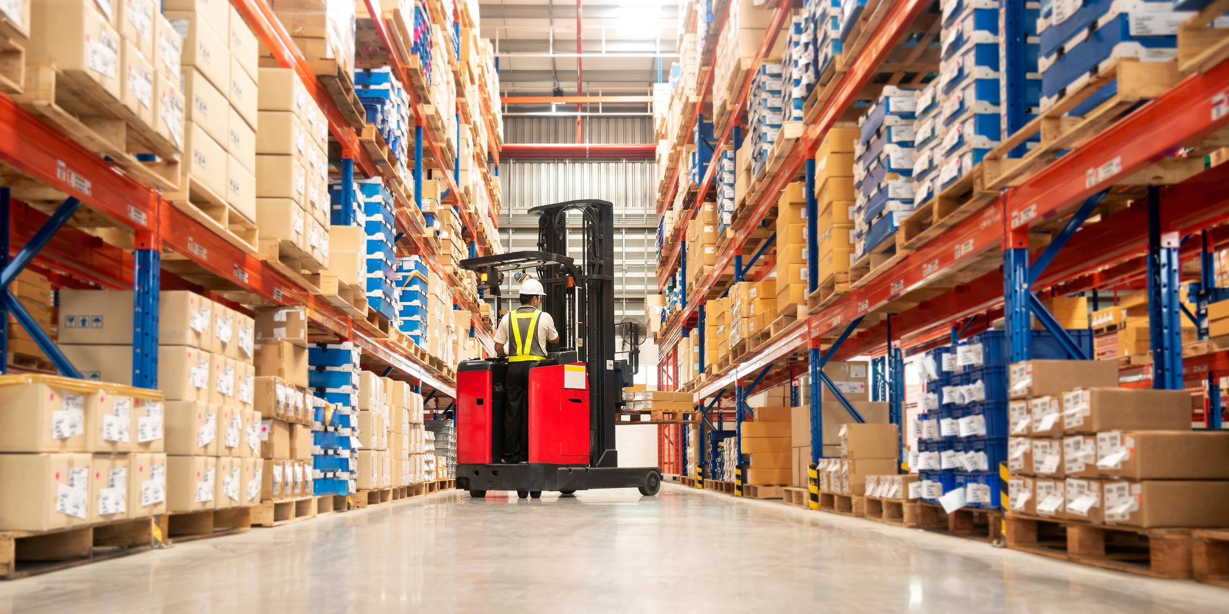 meat-importer-and-meat-wholesaler-cash-and-carry-markets