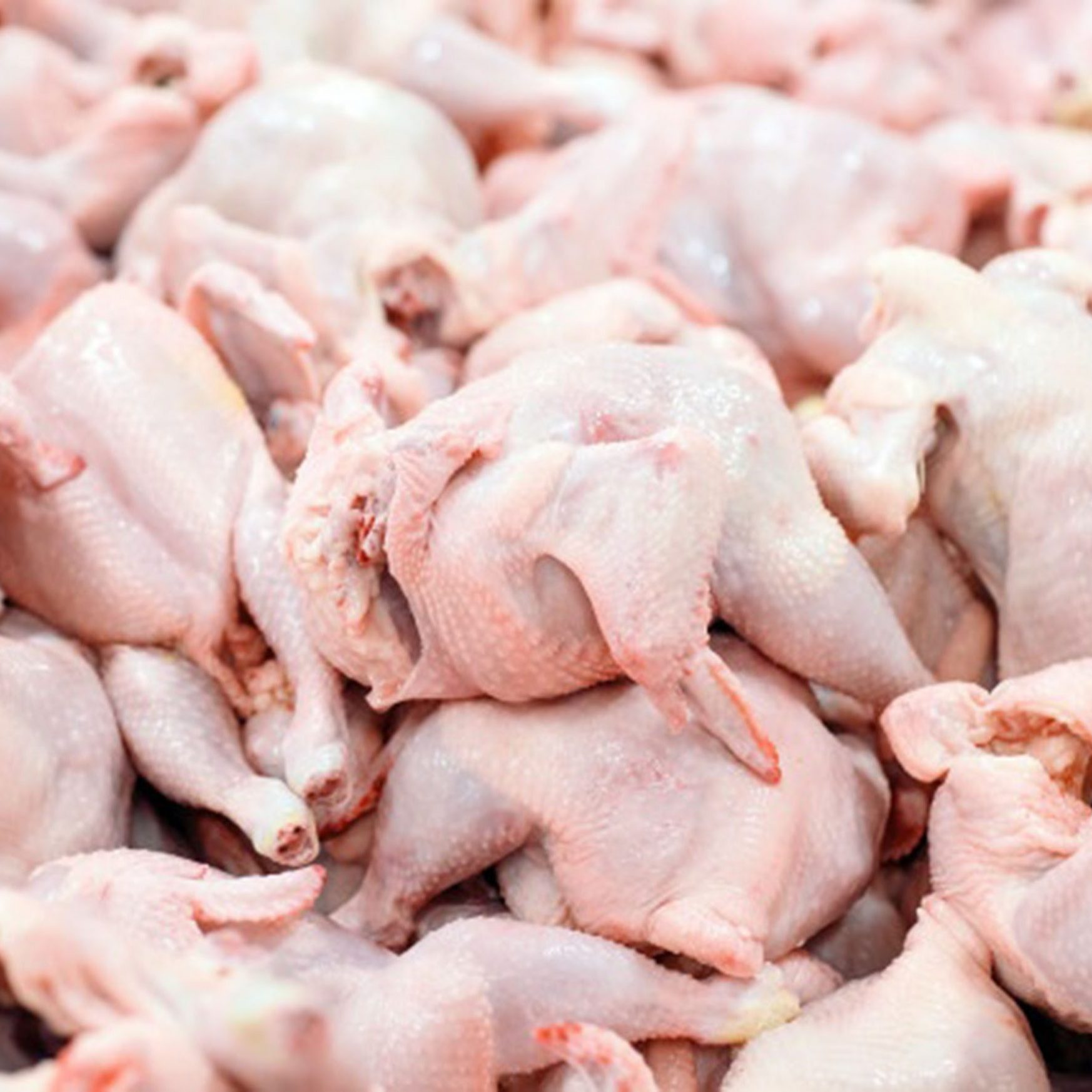 chicken-meat-scaled-1 chicken-meat-scaled-1